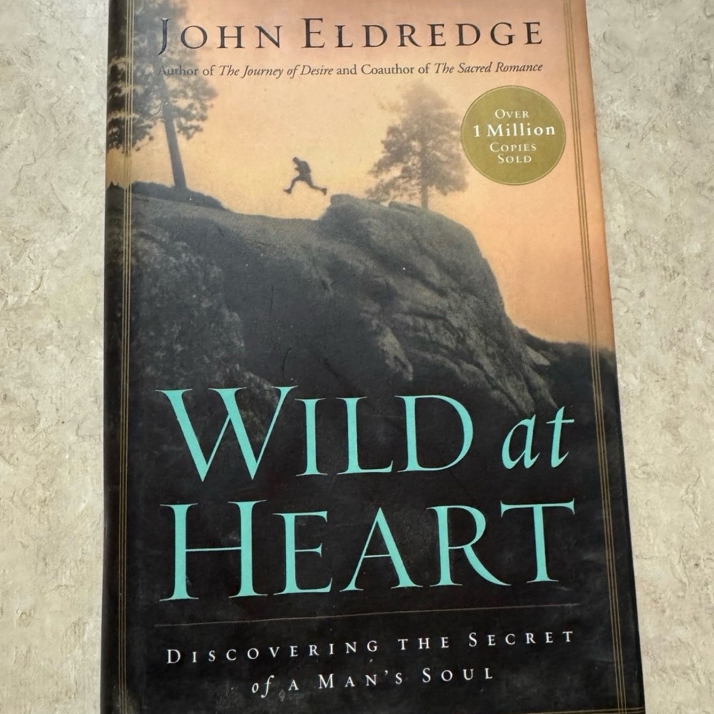 Wild at Heart by John Eldredge - Paperback Book (Teal & Black Cover)